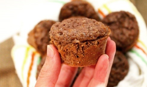 Chocolate Protein Mini Muffins