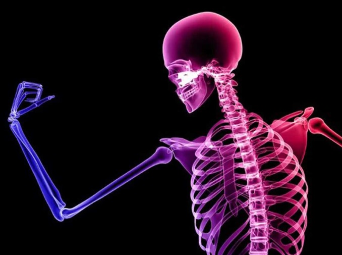 No Bones About It: Simple Strategies to Build Strength, Stability & Long-Term Independence