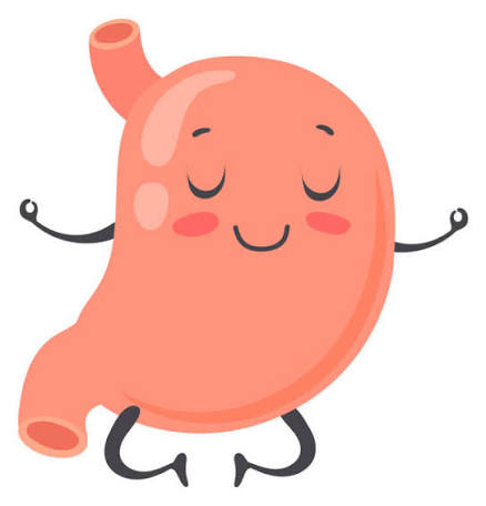 A Gut Feeling About the Holidays: Stress, Connection and Digestion